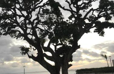 Kitnet compacta - Foto 21