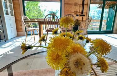 Chata w Szczyrku sauna & balia - Foto 35