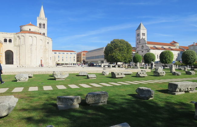 Villa Dalmacija - Foto 43