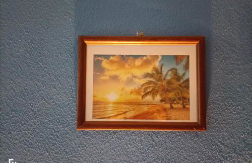 ViSIT CASTELO BRANCO - Foto 7