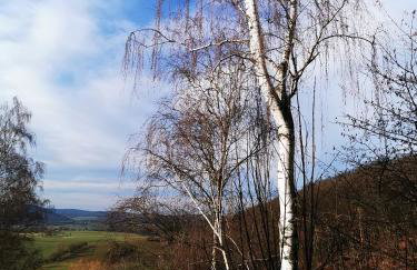 Geräumige 2-Z WOHNUNG im GRÜNEN, GARTEN, TERRASSE, RUHIG, NATUR, PHANTASTISCHER BLICK! - Foto 69