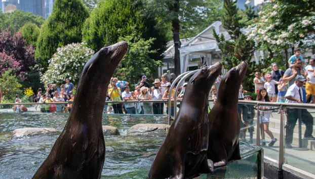 Central Park Zoo Tickets - Foto 3