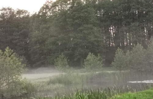 Agroturystyka Pasynki 44 - Foto 33