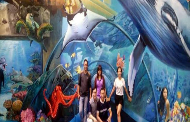 Villa Sasky Ciater Highland - Foto 64