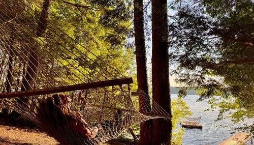 Hammock Haven Island Dome - Foto 2