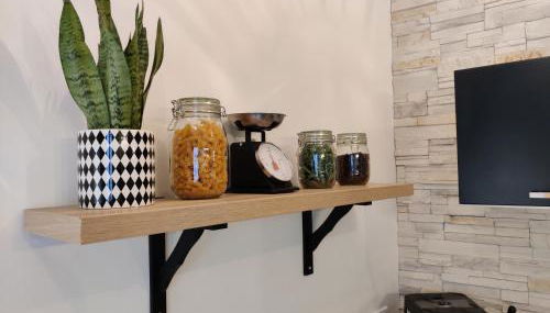 Appartement Hyper Centre Evian - Leman Odyssey - Foto 2