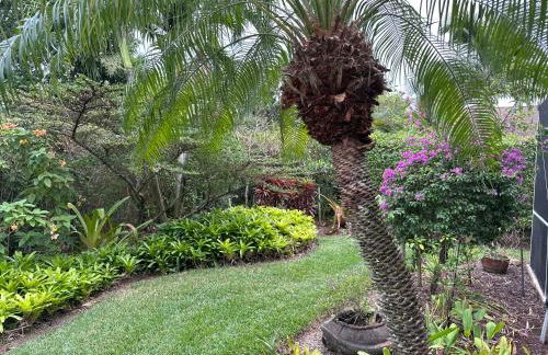 Florida house, 4br 2bt with private pool oasis - Photo 49