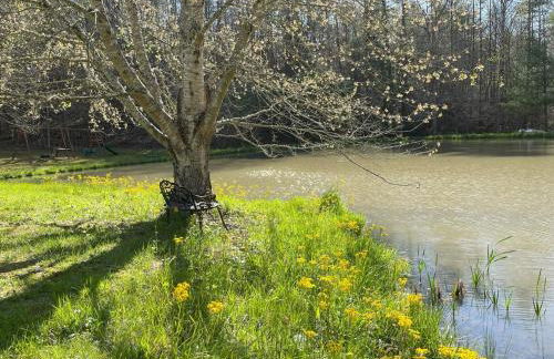 Modern Mountain Retreat~120ac~ Pond~Boat~Trails~FP - Foto 39