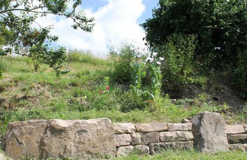 Hainhof Gästewohnungen - Foto 32