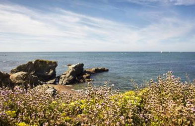 La Petite Sionnaise - Foto 13