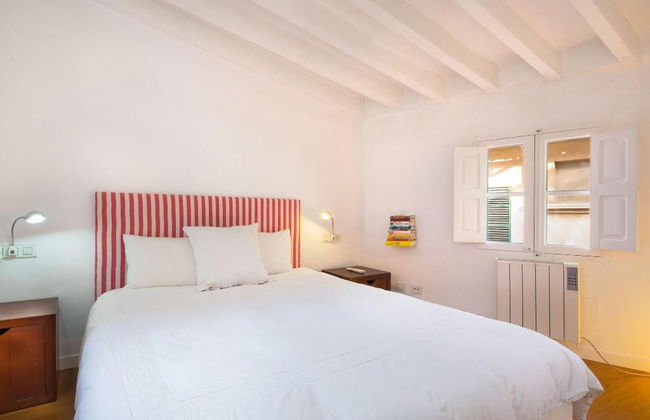 Canavall - Photo 141