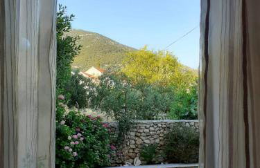 Apartments Borovina - Foto 24