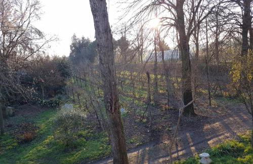 Agriturismo Villa Mocenigo - Photo 84