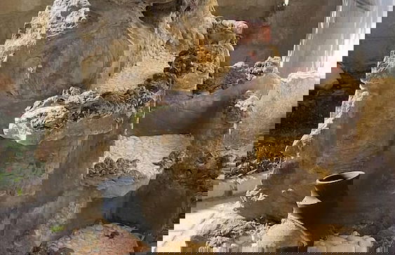 Kayhan Cave Villa - Foto 38