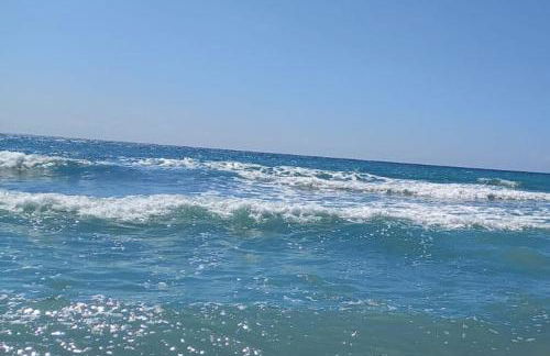 Villa Teresa Palinuro - Photo 4