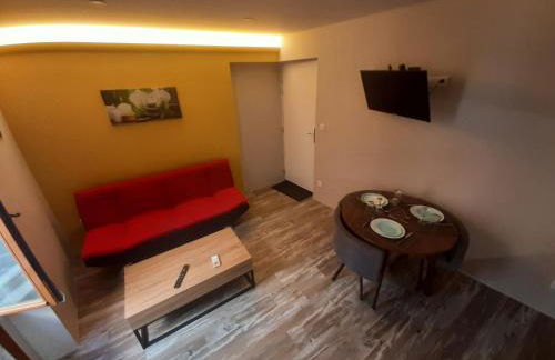 3 Apt T2 COSY de 40 à 50 M2 Idéal pour un déplacement PRO " Les IRIS " - Foto 8