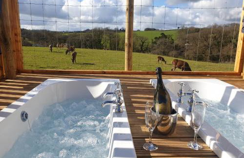 Luxury Safari Lodge-Sleeps 4 6-Deer Park-Dogs Ok - Foto 13