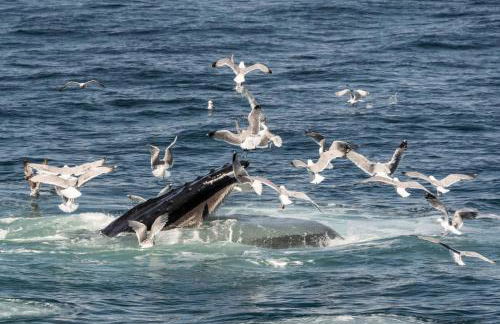 Relaxing Retreat just Minutes to Beach - Foto 32