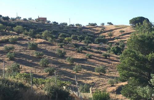 Algarrobo Azul - Photo 27