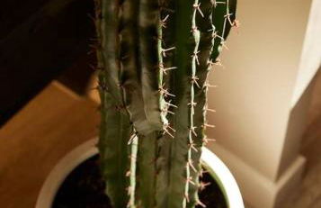 Modern A-frame w/ hot tub + view - Foto 23