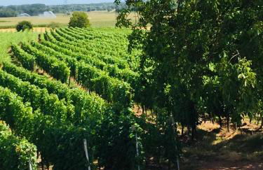 Gîte Spa La grange - Foto 21