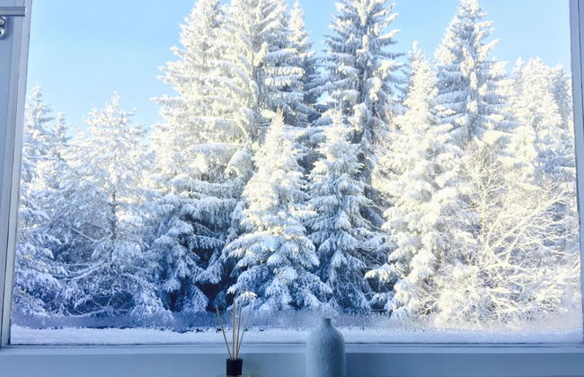 Ferienwohnung Börner - Foto 21