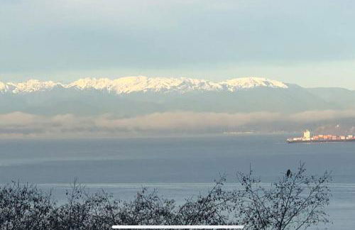 Romantic Spacious Suite with Salish Sea & Mountain Views at Seattle Luxury Estate - Foto 18