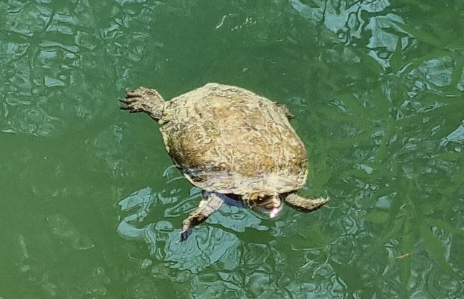 1-bed House Sleeps 4 - Free Parking, Patio, Wifi - Photo 9