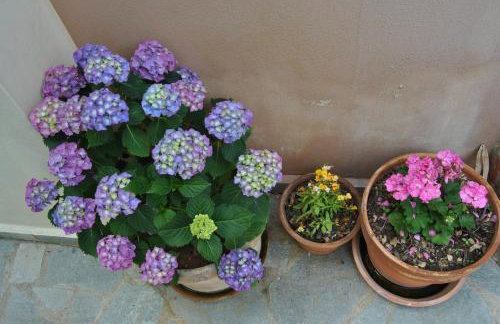 Guesthouse Machi - Foto 13