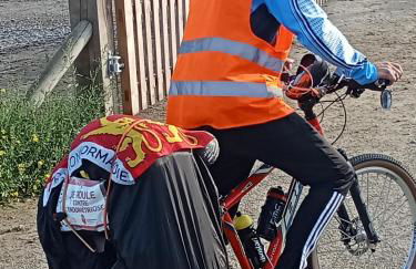 Gite Au Pré du Mont st michel - Foto 65