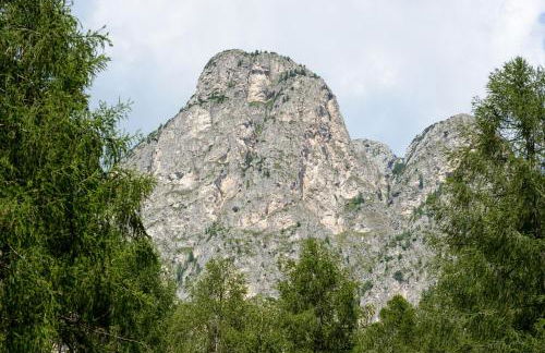 FORESTO holiday apartments - Photo 69