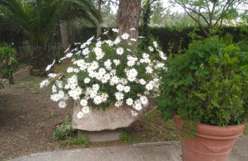 Vivienda Turística Rural Mari Carmen - Foto 52