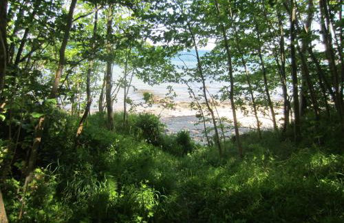 Ferienhof Jepsen - Foto 37