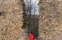 Brandenburgblick - Foto 16