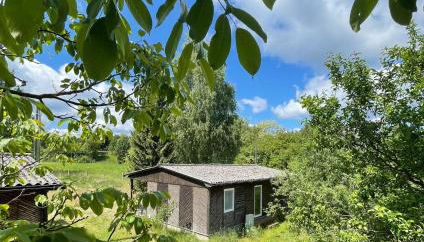 Haus 8 am Grimnitzsee mit Sauna - Foto 2, Garden