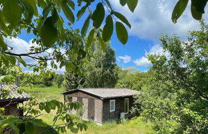 Haus 8 am Grimnitzsee mit Sauna - Photo 2