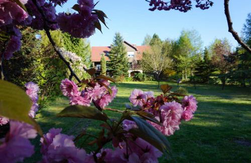 Insko Home & Sauna - Foto 37