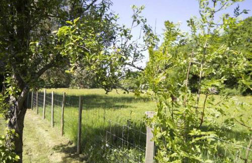 Contact for Mon-fri deals - Foto 6