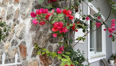 Mairi’s Apartment - Foto 4, Garden