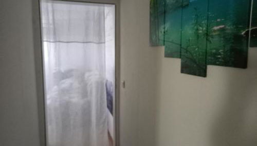 Orchidee 2 - Photo 4