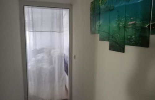 Orchidee 2 - Photo 4