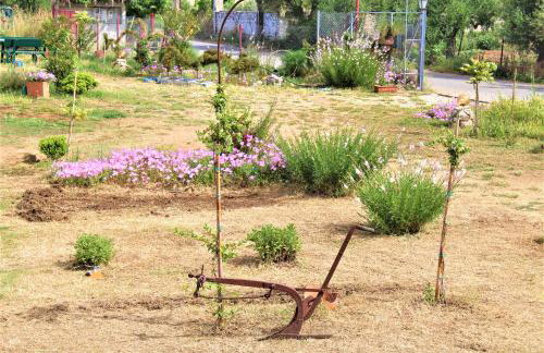 Stamna Farm - Foto 21