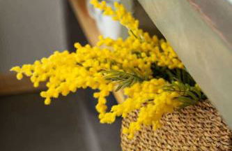 Olympian Chalet - Foto 11