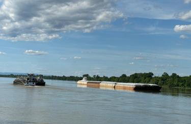 Paw Paw Tree Estate - Foto 16