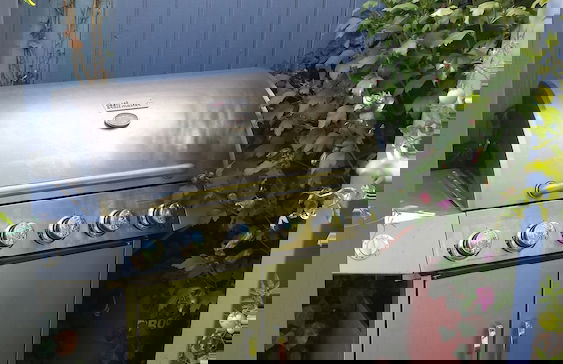 Wildnisresidenz am Nationalpark - Photo 51