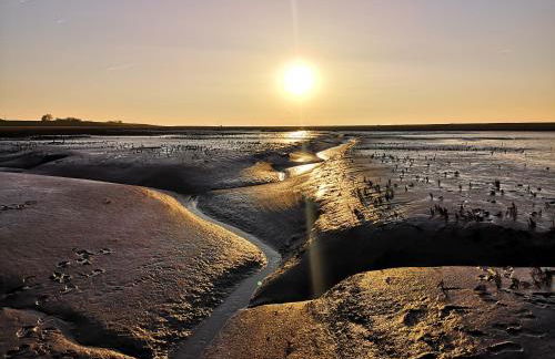 Ferienwohnung Libelle - Foto 14