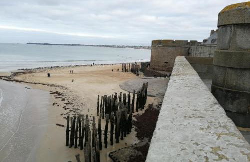 Le petit malouin - Foto 11