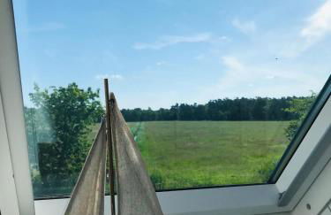 Zingst Haus Hugo - Foto 22