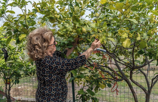 Casa Vacanze Macchia Verde - Foto 37