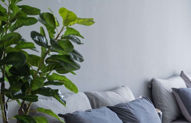 The Landmark by The Only Bnb - Foto 17